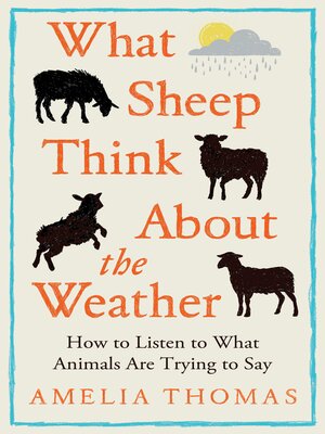 cover image of What Sheep Think About the Weather